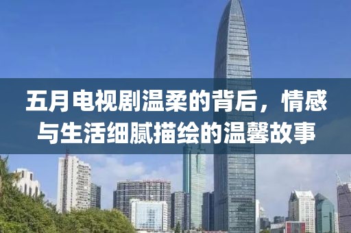 五月电视剧温柔的背后，情感与生活细腻描绘的温馨故事