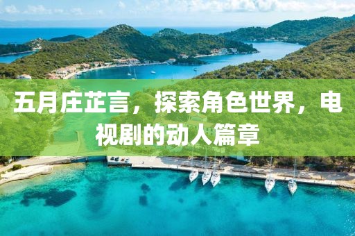 五月庄芷言，探索角色世界，电视剧的动人篇章
