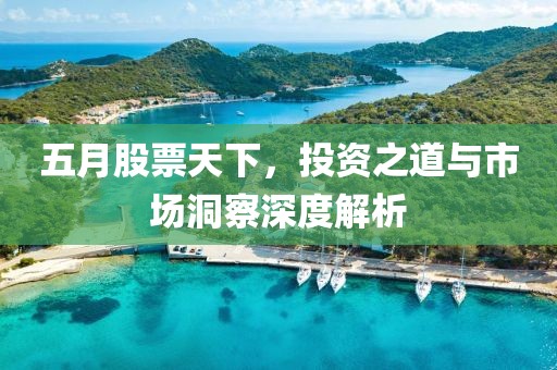 五月股票天下，投资之道与市场洞察深度解析