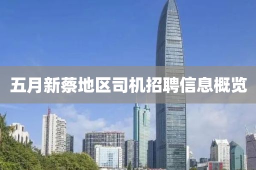 五月新蔡地区司机招聘信息概览