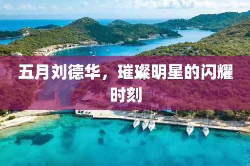 五月刘德华，璀璨明星的闪耀时刻