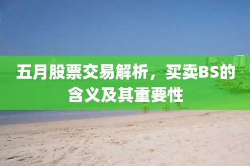 五月股票交易解析，买卖BS的含义及其重要性