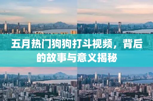 五月热门狗狗打斗视频，背后的故事与意义揭秘