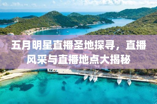 五月明星直播圣地探寻，直播风采与直播地点大揭秘