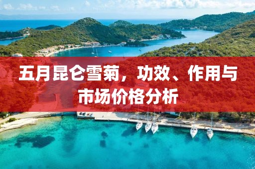五月昆仑雪菊，功效、作用与市场价格分析