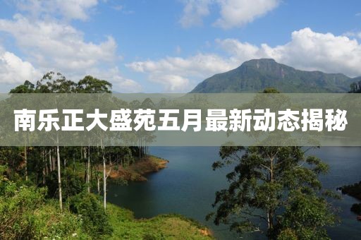 南乐正大盛苑五月最新动态揭秘