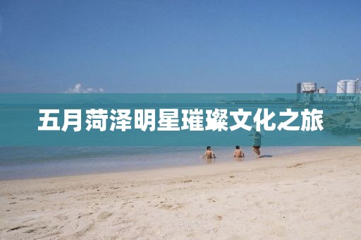 五月菏泽明星璀璨文化之旅