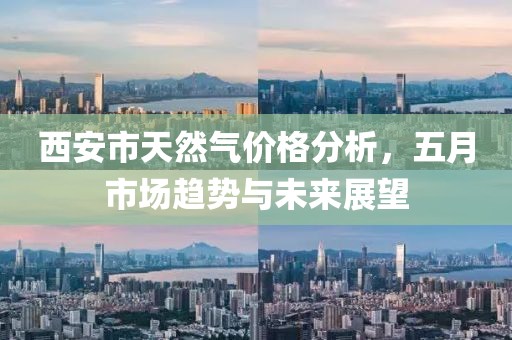 西安市天然气价格分析，五月市场趋势与未来展望