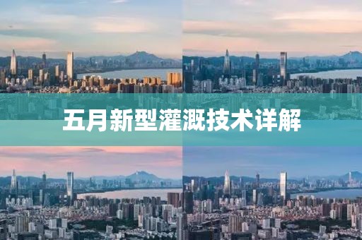 五月新型灌溉技术详解