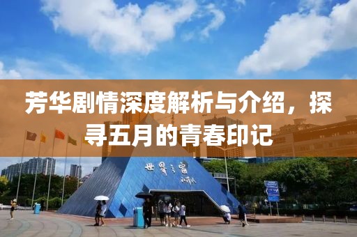 芳华剧情深度解析与介绍，探寻五月的青春印记