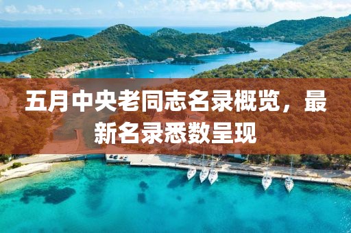 五月中央老同志名录概览，最新名录悉数呈现