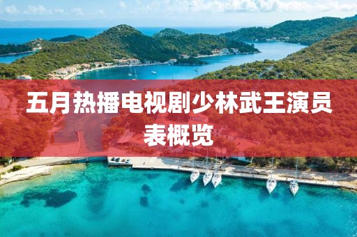 五月热播电视剧少林武王演员表概览