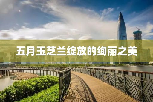 五月玉芝兰绽放的绚丽之美
