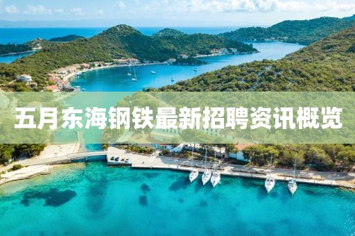 五月东海钢铁最新招聘资讯概览