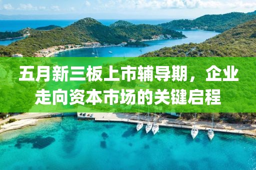 五月新三板上市辅导期，企业走向资本市场的关键启程