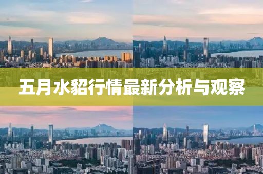 五月水貂行情最新分析与观察