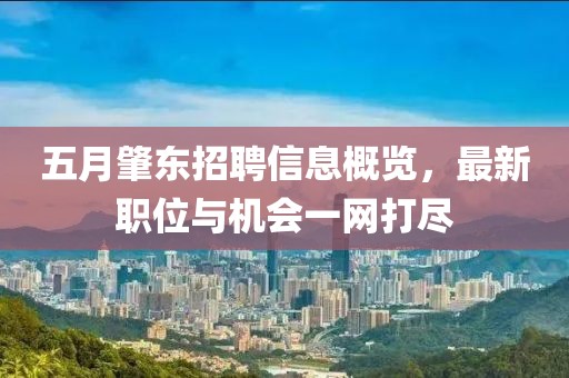 五月肇东招聘信息概览，最新职位与机会一网打尽