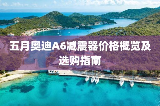 五月奥迪A6减震器价格概览及选购指南