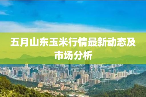 五月山东玉米行情最新动态及市场分析