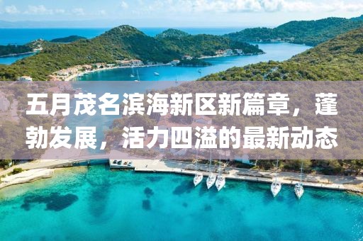 五月茂名滨海新区新篇章，蓬勃发展，活力四溢的最新动态