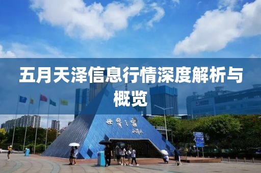 五月天泽信息行情深度解析与概览