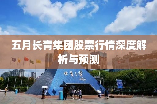 五月长青集团股票行情深度解析与预测