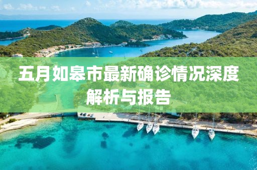 五月如皋市最新确诊情况深度解析与报告