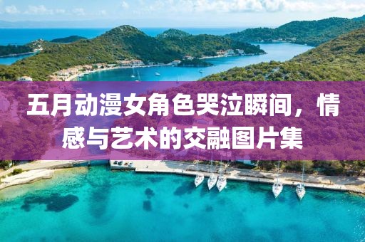 五月动漫女角色哭泣瞬间，情感与艺术的交融图片集