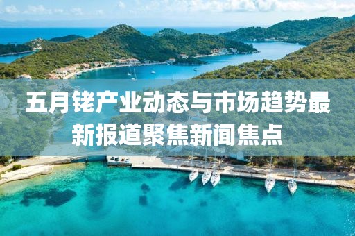 五月铑产业动态与市场趋势最新报道聚焦新闻焦点