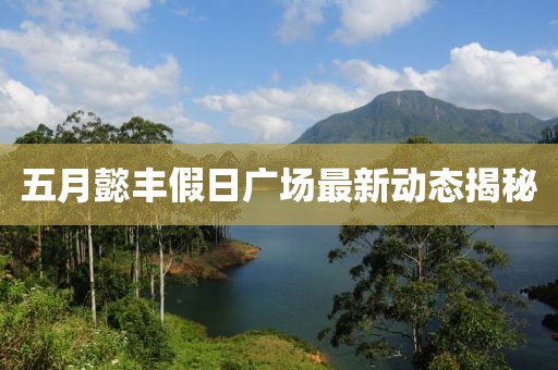 五月懿丰假日广场最新动态揭秘