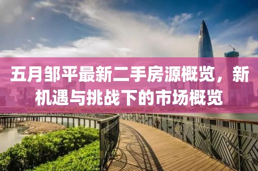 五月邹平最新二手房源概览，新机遇与挑战下的市场概览