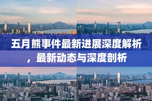 五月熊事件最新进展深度解析，最新动态与深度剖析