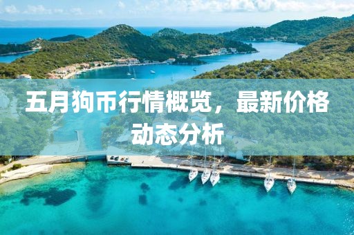 五月狗币行情概览，最新价格动态分析