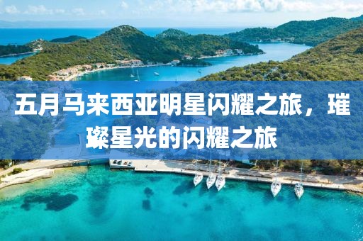 五月马来西亚明星闪耀之旅，璀璨星光的闪耀之旅