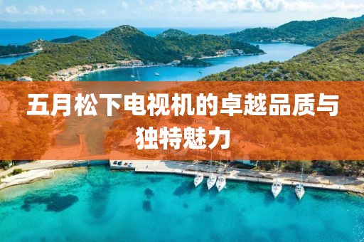 五月松下电视机的卓越品质与独特魅力