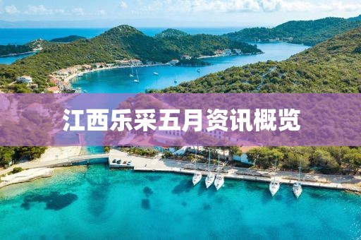江西乐采五月资讯概览