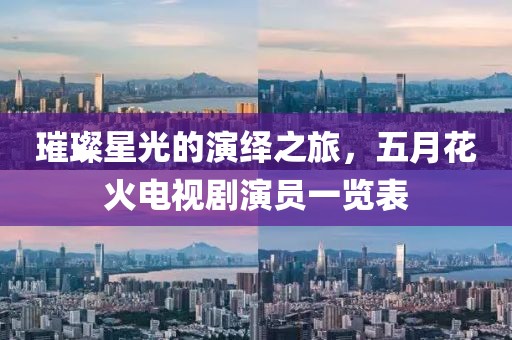 璀璨星光的演绎之旅，五月花火电视剧演员一览表