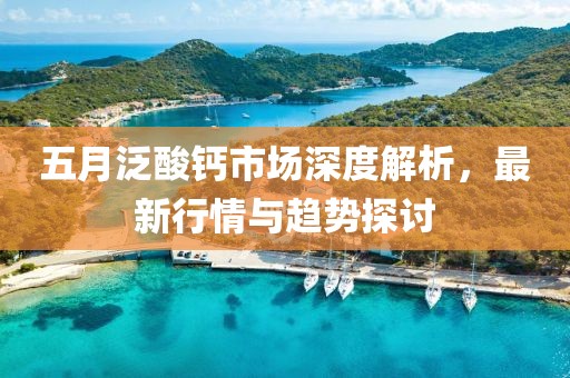 五月泛酸钙市场深度解析，最新行情与趋势探讨