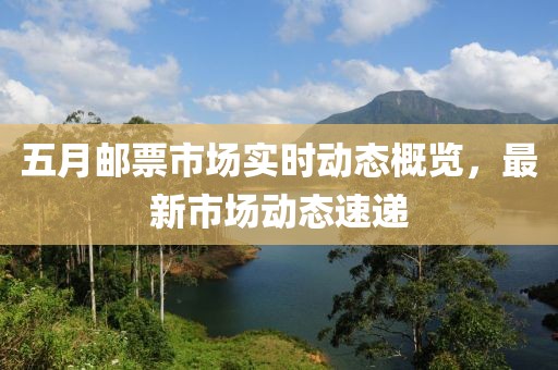五月邮票市场实时动态概览，最新市场动态速递