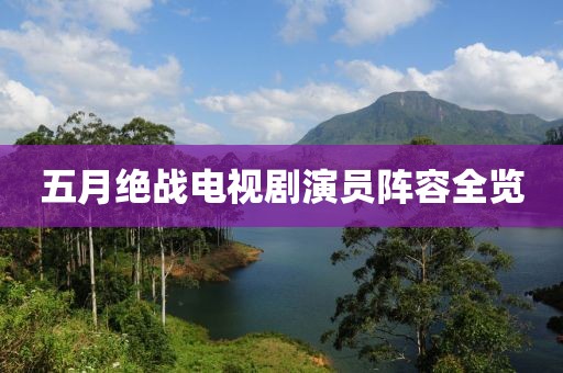 五月绝战电视剧演员阵容全览
