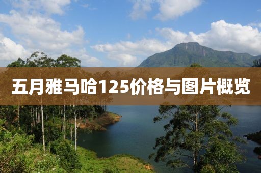 五月雅马哈125价格与图片概览