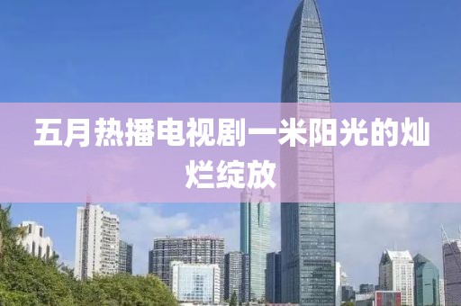 五月热播电视剧一米阳光的灿烂绽放