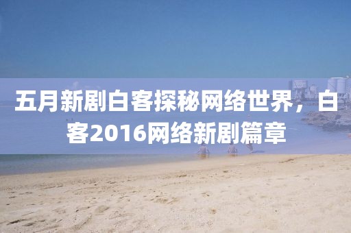 五月新剧白客探秘网络世界，白客2016网络新剧篇章