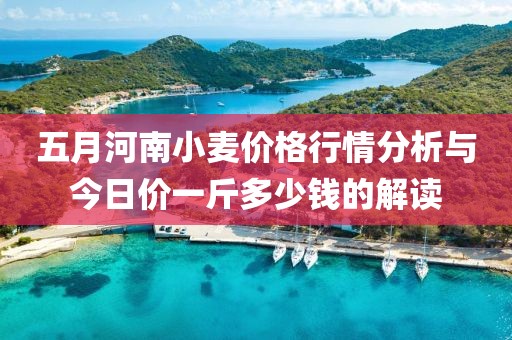 五月河南小麦价格行情分析与今日价一斤多少钱的解读