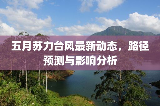 五月苏力台风最新动态，路径预测与影响分析