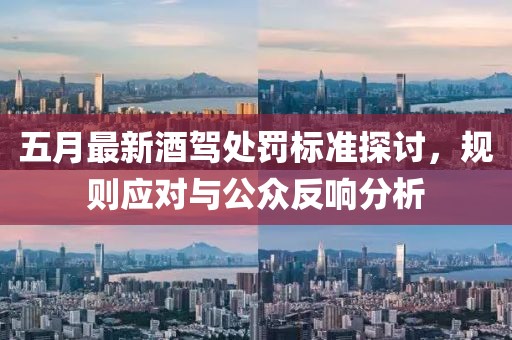 五月最新酒驾处罚标准探讨，规则应对与公众反响分析