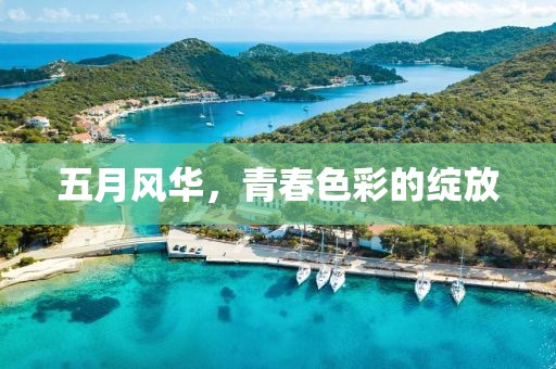五月风华，青春色彩的绽放