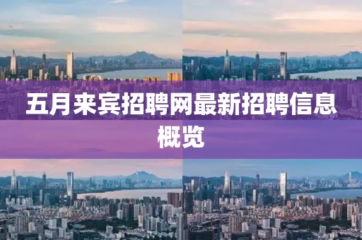 五月来宾招聘网最新招聘信息概览