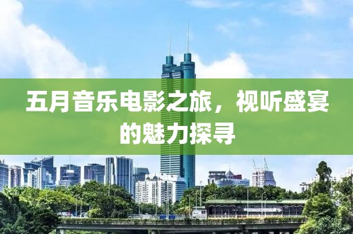 五月音乐电影之旅，视听盛宴的魅力探寻