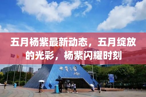 五月杨紫最新动态，五月绽放的光彩，杨紫闪耀时刻